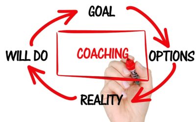 Executive Coaching – Luxury or Business Necessity?